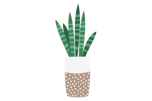 Aloe Cute Drawing: Graphics for Handmade Creations