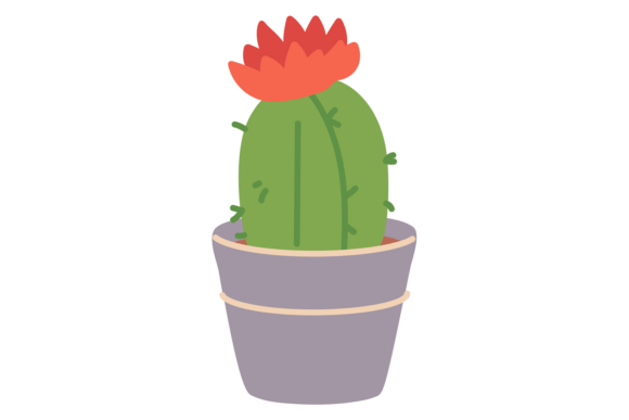 Cacti Flower Houseplant. Decorative Home Graphics