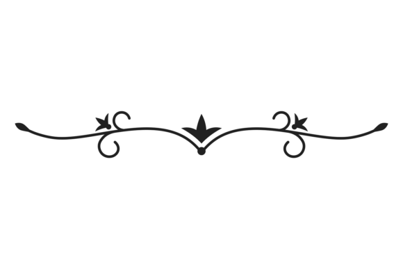Classic Divider. Decorative Elegant Vint Graphics