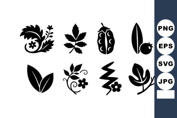 Decorative Black Botanical Elements with Graphics and Illustrations