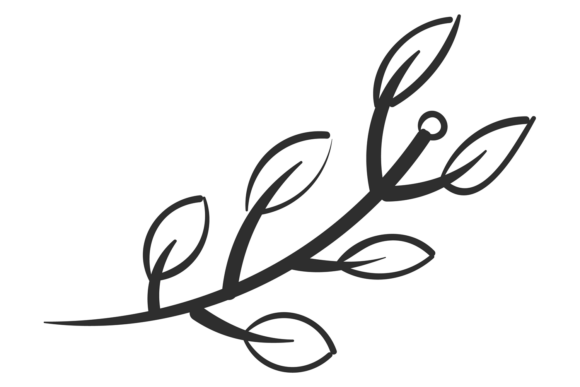 Decorative Branch Drawing. Floral Element