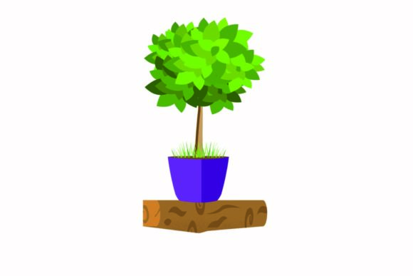 Decorative Plants for the Inside House