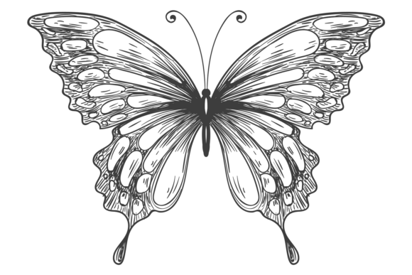 Romantic Butterfly Engraving: Graphics & Illustrations for Crafters