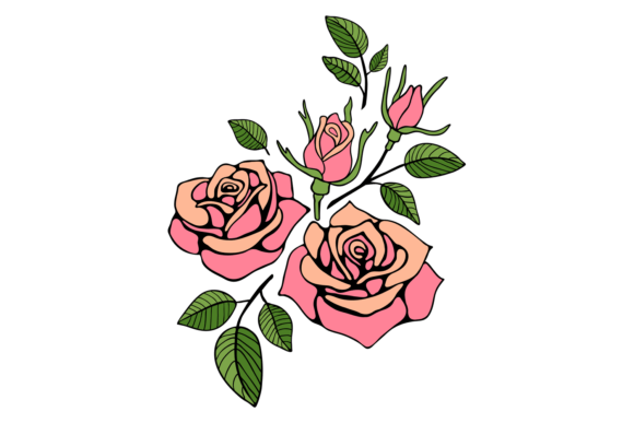 Rose Bouquet: Graphics & Illustrations for Editorial Use